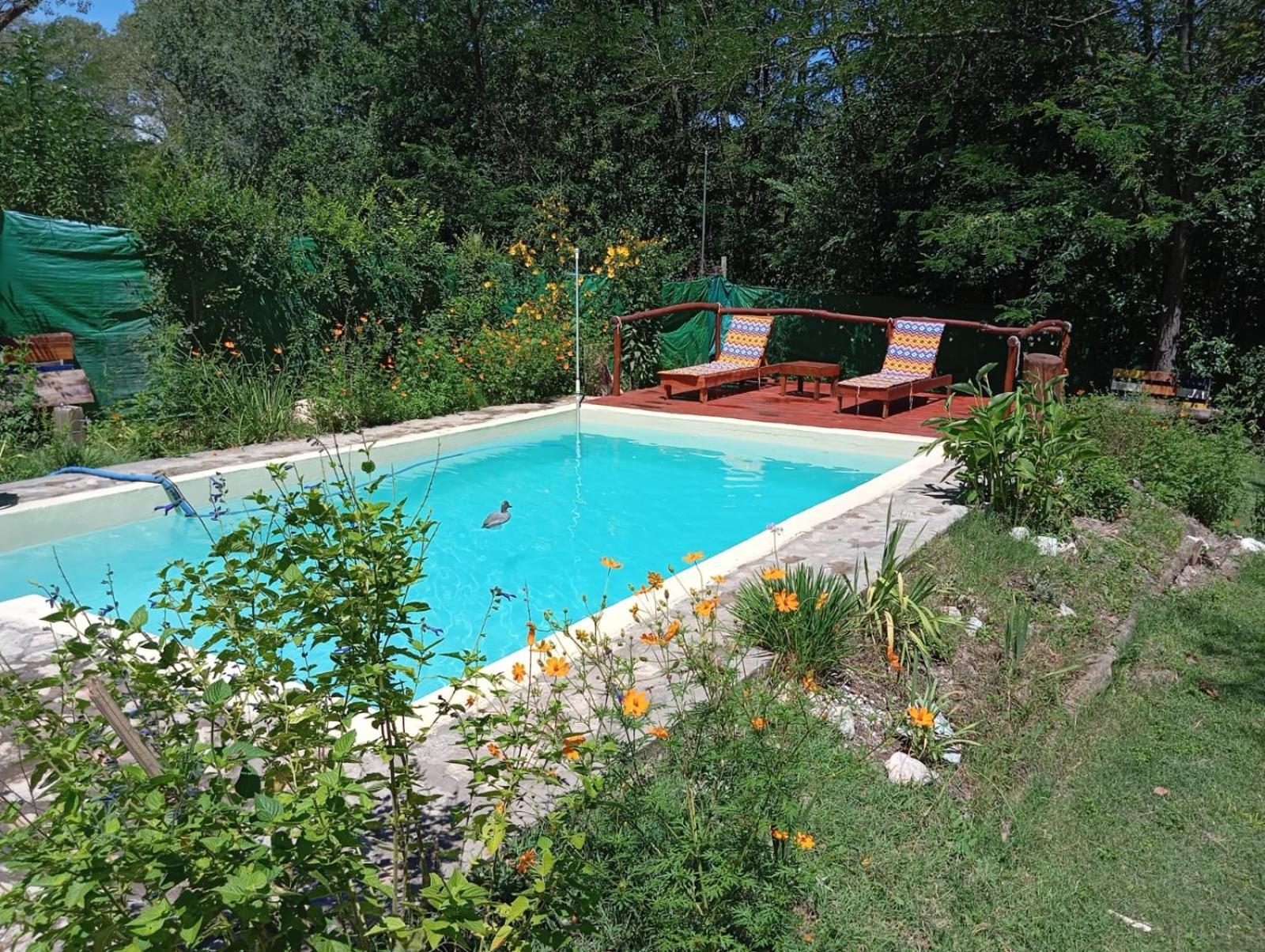 Villa La Isolina Villa Giardino Exterior photo